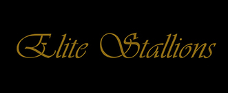Elite-Stallions